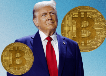 trump crypto