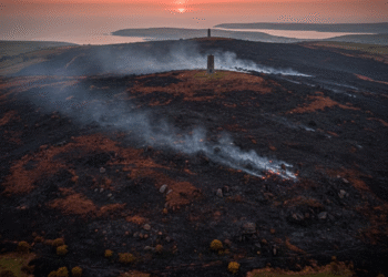 mynydd bodafon fire