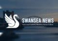 swansea news