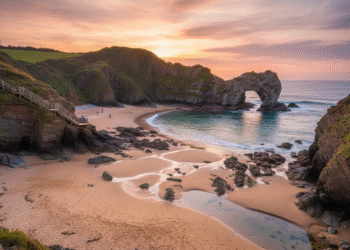 skrinkle haven manorbier