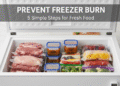how to prevent freezer burn