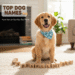 Dog Names