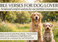 bible verses for dog lovers