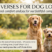 bible verses for dog lovers