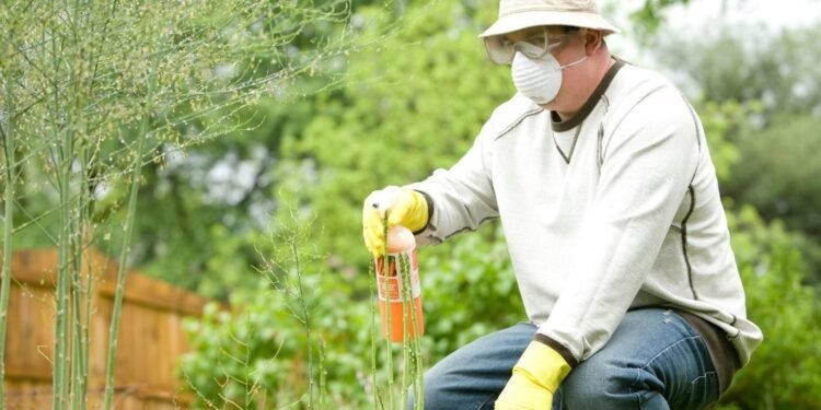Why Professional Pest Control Services Matter For Long-Term Safety
