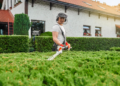 Why a Local Lawn Care Company Offers Personalized Service  