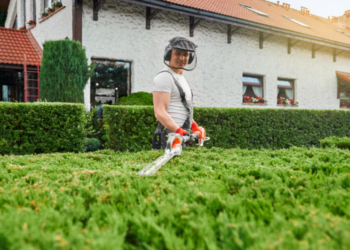 Why a Local Lawn Care Company Offers Personalized Service  