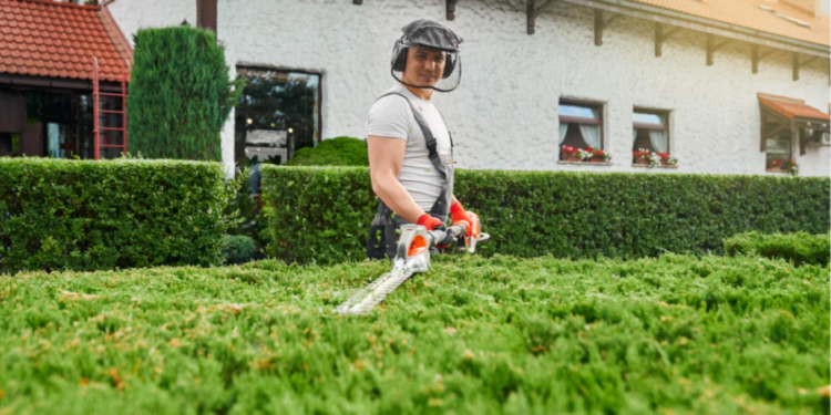Why a Local Lawn Care Company Offers Personalized Service  