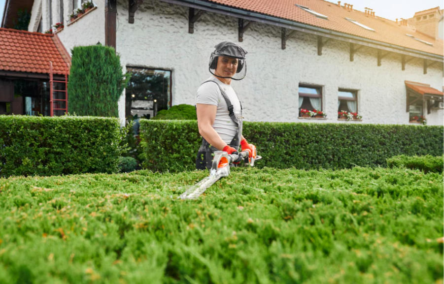 Why a Local Lawn Care Company Offers Personalized Service  