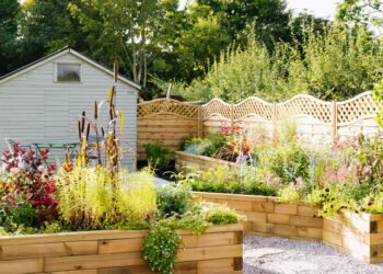 Simple Ways to Create a Low-Maintenance Garden That Looks Great All Year Round