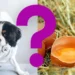 Can Dogs Eat Egg Shells
