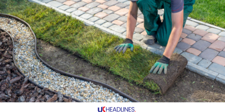 low maintenance front yard landscaping