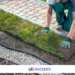 low maintenance front yard landscaping