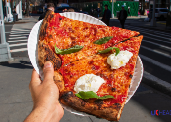 top 5 pizzerias in nyc