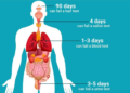 how long does meth stay in your system for urine sample