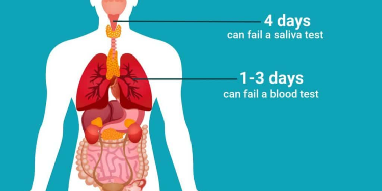 how long does meth stay in your system for urine sample
