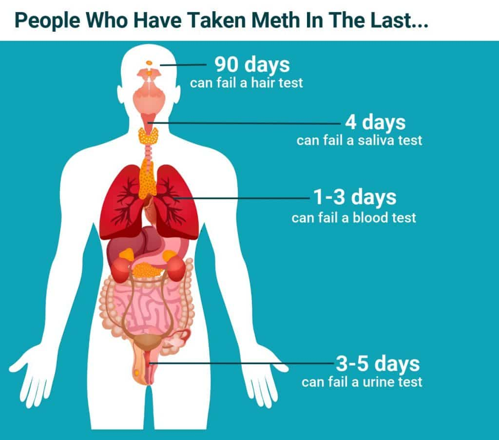how long does meth stay in your system for urine sample