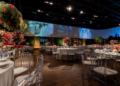 elegant seating shapes