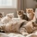 how long is a cat pregnant