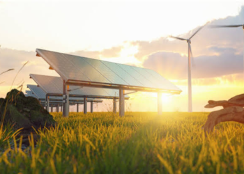 Why Renewable Energy Adoption Is Becoming a Competitive Business Advantage