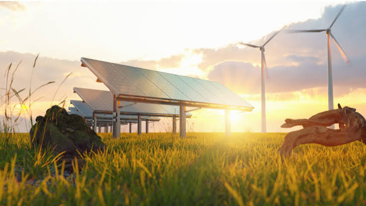 Why Renewable Energy Adoption Is Becoming a Competitive Business Advantage
