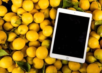 How Lemon Law Buybacks Work and What Vehicle Owners Can Expect