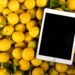 How Lemon Law Buybacks Work and What Vehicle Owners Can Expect