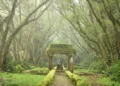 Places to Visit in Bangalore with Family for a Perfect Day Out