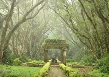 Places to Visit in Bangalore with Family for a Perfect Day Out