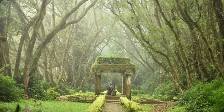 Places to Visit in Bangalore with Family for a Perfect Day Out