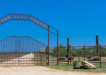 cactus jack ranch
