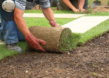 Australian lawns