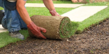Australian lawns