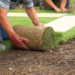 Australian lawns