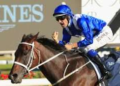 Top 15 Australian horse trainers of all time