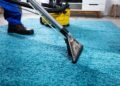 Why Regular Professional Carpet Cleaning Is Worth It