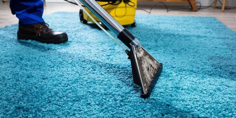 Why Regular Professional Carpet Cleaning Is Worth It