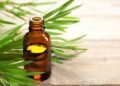 Ayurvedic Treatment for Scabies–Natural Remedies–Holistic Care: Discover the Healing Power
