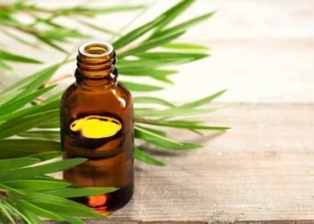 Ayurvedic Treatment for Scabies–Natural Remedies–Holistic Care: Discover the Healing Power