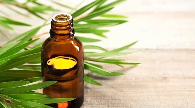Ayurvedic Treatment for Scabies–Natural Remedies–Holistic Care: Discover the Healing Power