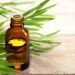 Ayurvedic Treatment for Scabies–Natural Remedies–Holistic Care: Discover the Healing Power