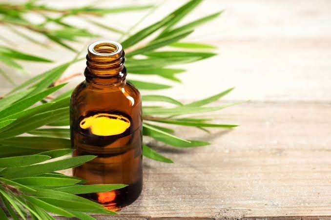 Ayurvedic Treatment for Scabies–Natural Remedies–Holistic Care: Discover the Healing Power
