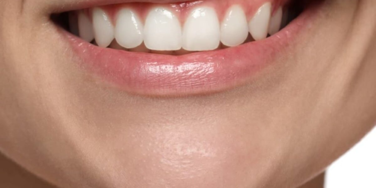 Teeth